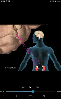 Neurology and Psychiatry android App screenshot 3